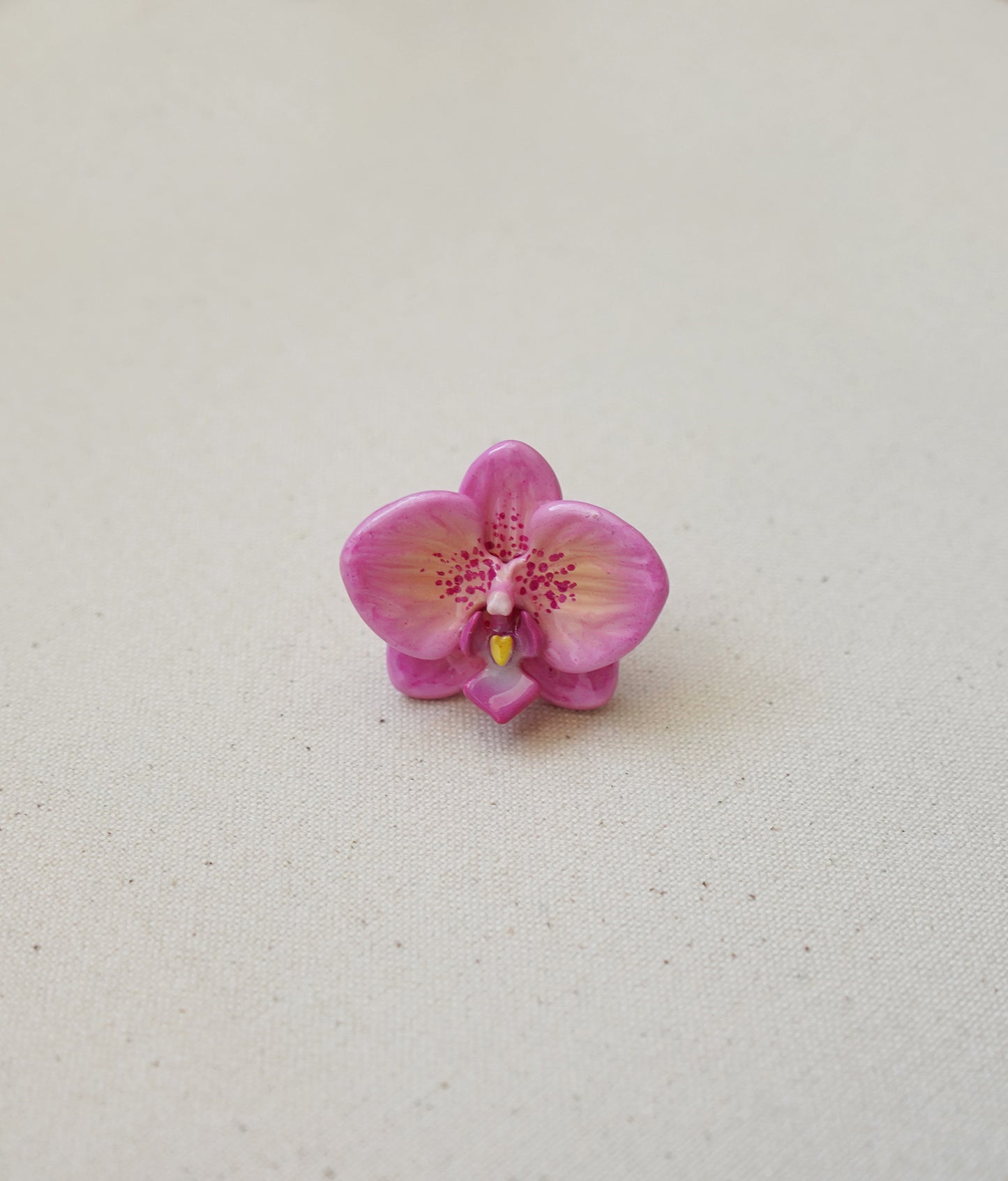 Moth Orchid Rings
