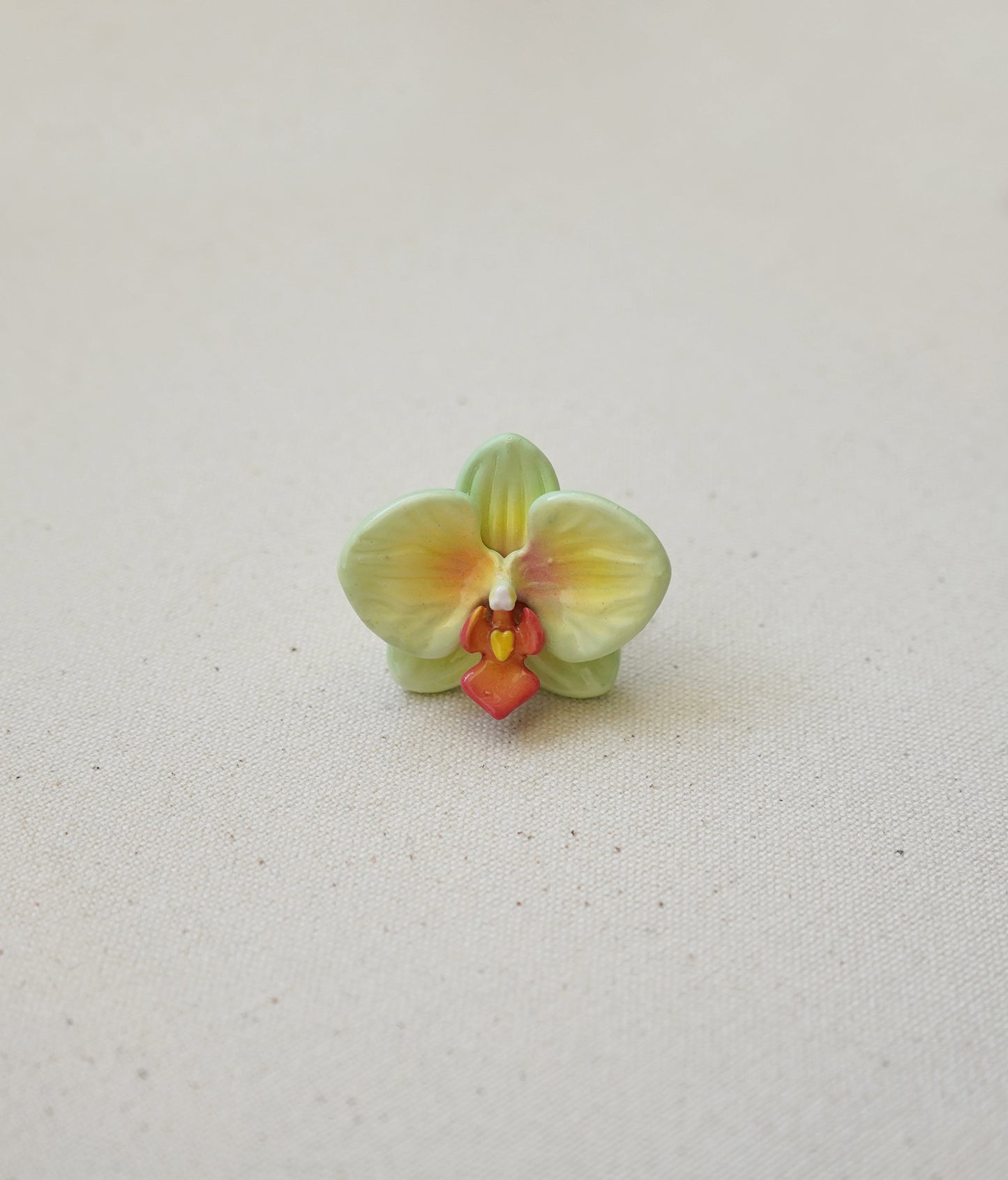 Moth Orchid Rings