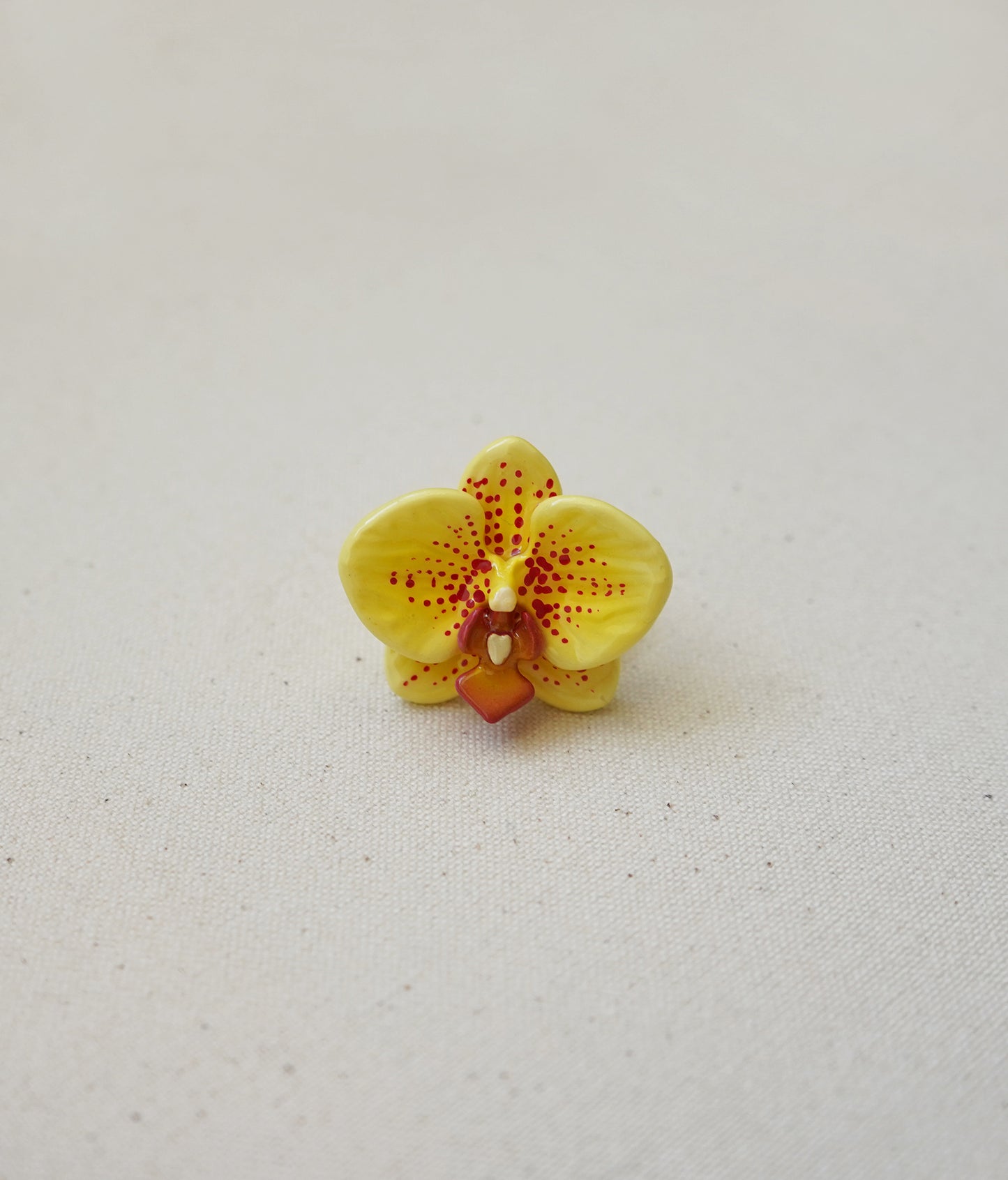 Moth Orchid Rings