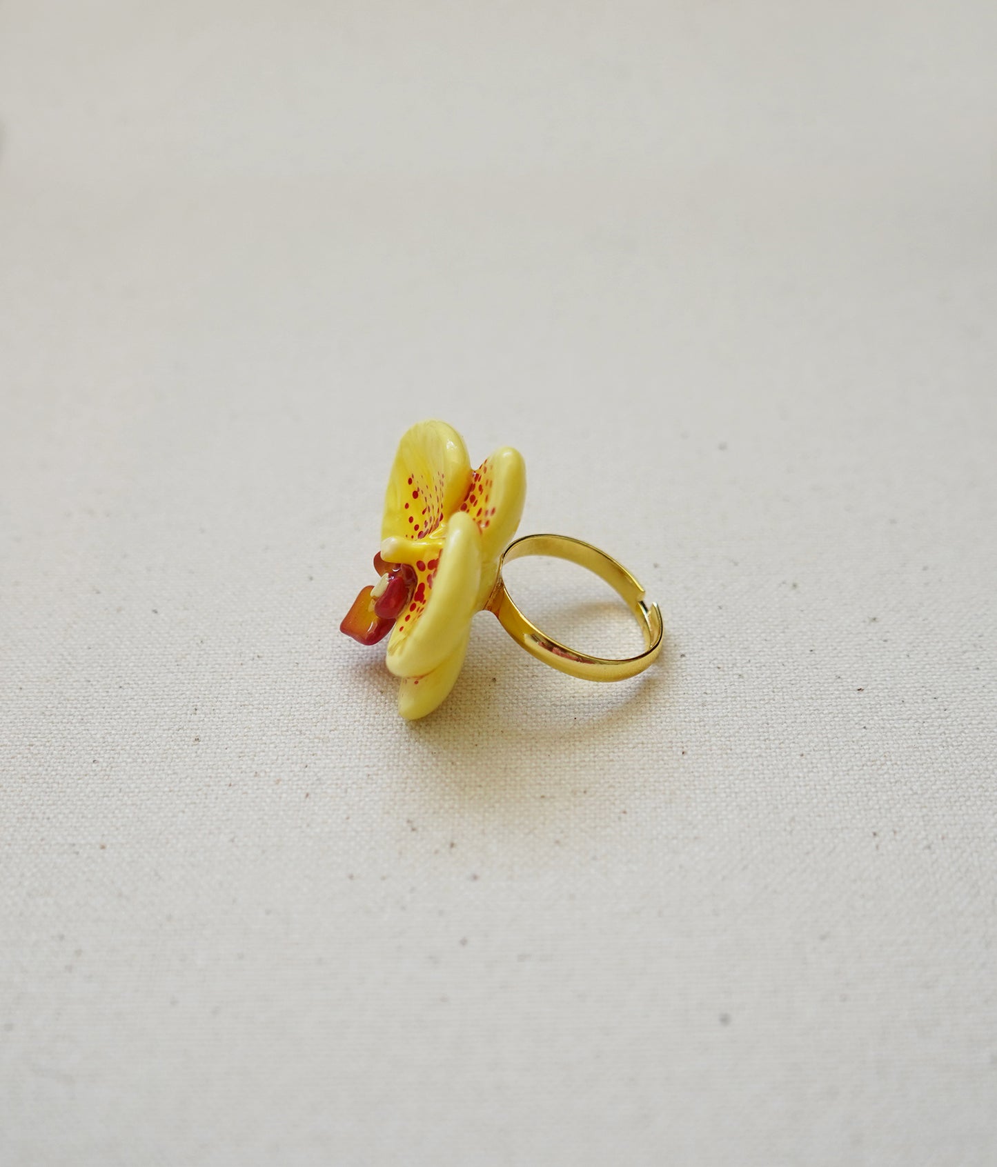Moth Orchid Rings