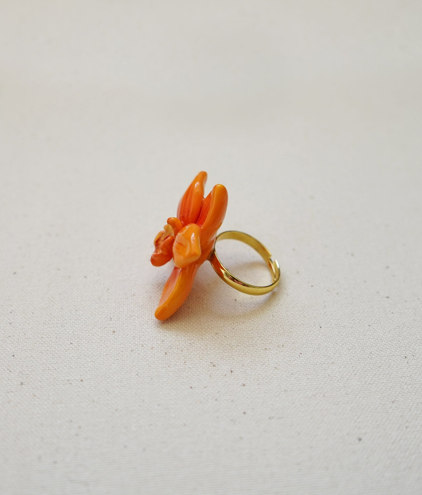 Cymbidium Orchid Rings